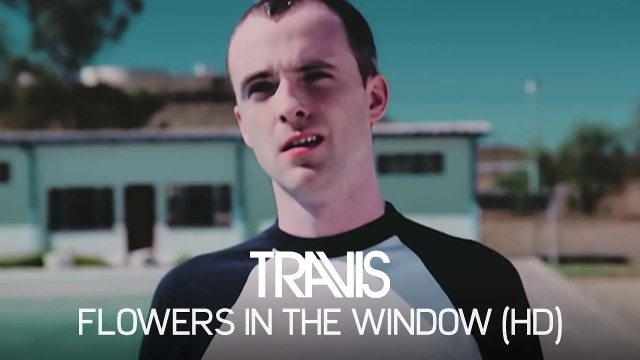 Fran Healy - Flowers in the Window