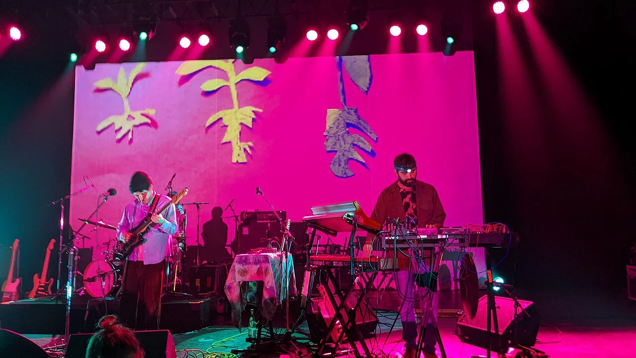 Animal Collective