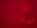 Stepaside - Red.jpg