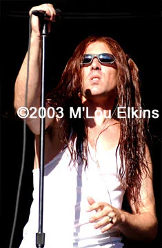 A Perfect Circle - perfectcircle_0176LOLLA.jpg