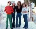 Barry Gibb - bee-gees.jpg