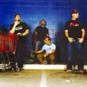 Alien Ant Farm - d.jpg