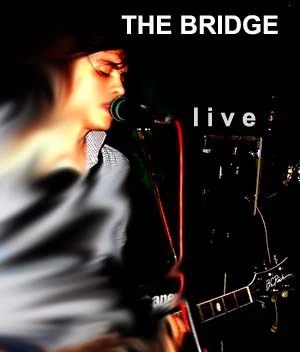 The Bridge - lives.jpg