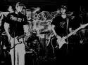 New Project - 197187.jpg