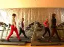 Ok Go - OK-Go-band-v10.jpg