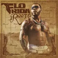 Flo Rida - Flo_Rida_-_R_O_O_T_S_(Official_Album_Cover)-747779.jpg