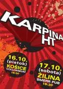 Karpina - PLAGAT_PUNK_UNI.jpg