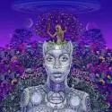 Badu Erykah