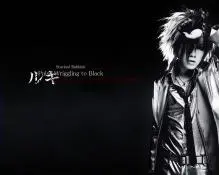 Gazette - GazettePWTBGrandFinale-Ruki.jpg