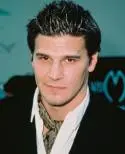 David Boreanaz