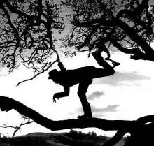 Tom Waits - Tom_Waits_Tree.jpg