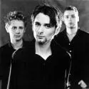 Muse