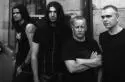Vreid - vreid.jpg