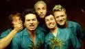 Me First & The Gimme Gimmes - 273.jpg