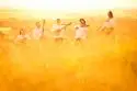 Banda