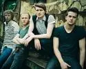 Wild Beasts