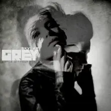 Skylar Grey - 2588737_skylar-grey-s-dance-without-you-released-in-full.jpg