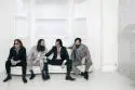 Skupina GRINDERMAN letos vydá album remixů. 