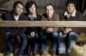 The Shins