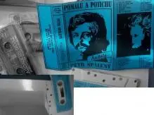 Petr Spálený - pomaluapotichu3.jpg