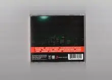 Within Temptation - img037.jpg