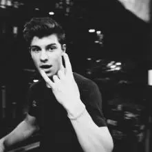 Shawn Mendes - 5p5UtuaH.jpg
