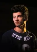ZAYN - ZaynWWATchile_Cropped.jpg