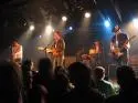 The Rifles