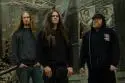 Jungle Rot - junglerot.jpg