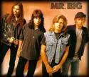 Mr.big