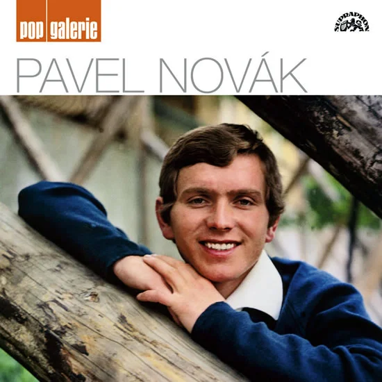 Novák, Pavel