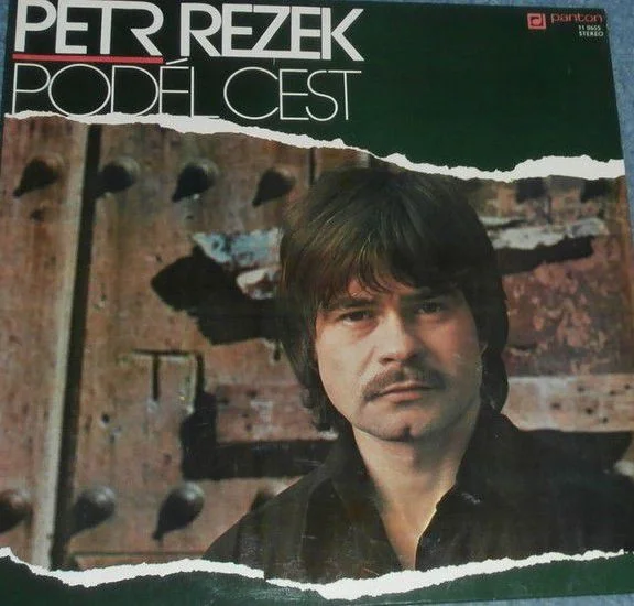 Petr Rezek - petr-rezek-podel-cest.jpg