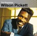 Pickett, Wilson