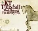 Kate Tunstell
