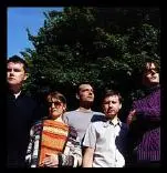 Pulp