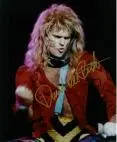 David Roth - CA45ABO5.jpg