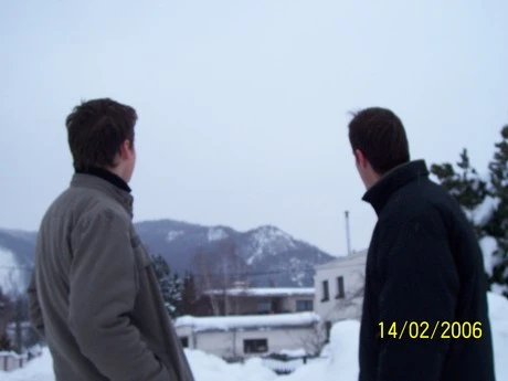 Can Illusion Bees - 250f40b614.jpg