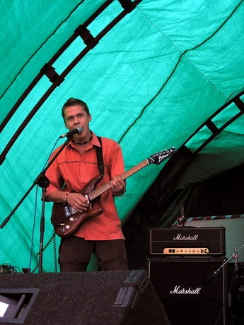 Can Illusion Bees - 24c7c3b.jpg