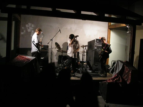 Can Illusion Bees - 11053fb.jpg