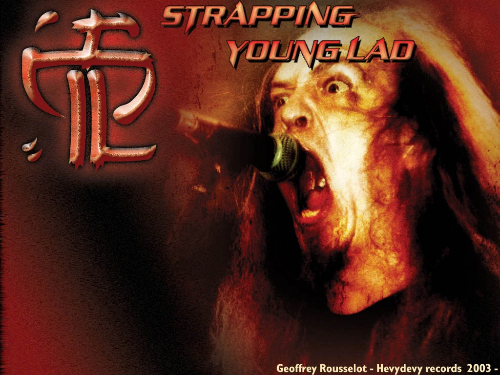 The Devin Townsend Band