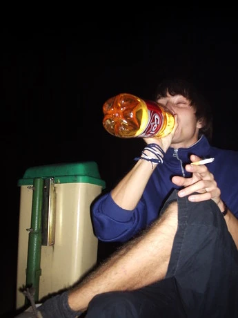 Can Illusion Bees - 2467aa3.jpg