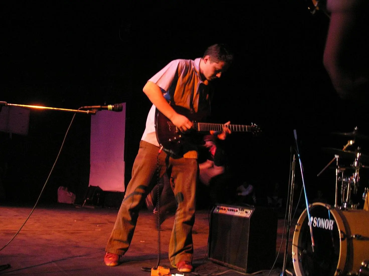 Can Illusion Bees - sdfgfggf.JPG