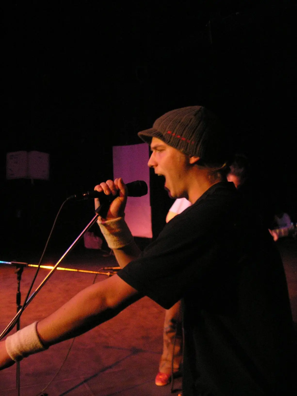 Can Illusion Bees - klk.JPG