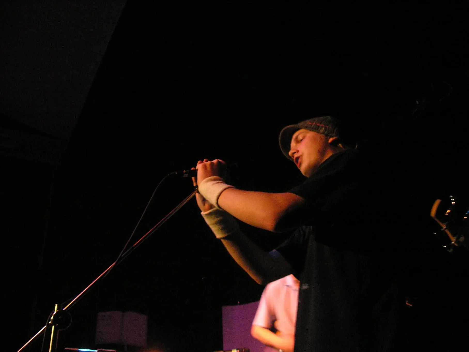 Can Illusion Bees - f_25473581_4ce4c5b2026c52cbe7f926e651f78576.jpg