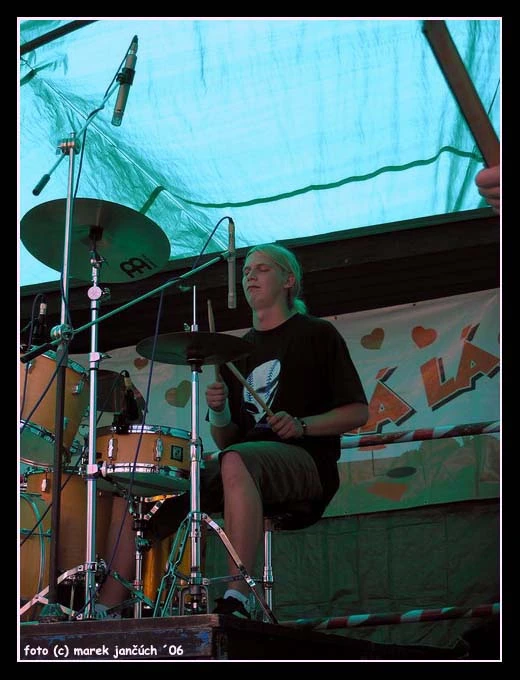 Can Illusion Bees - 07.jpg