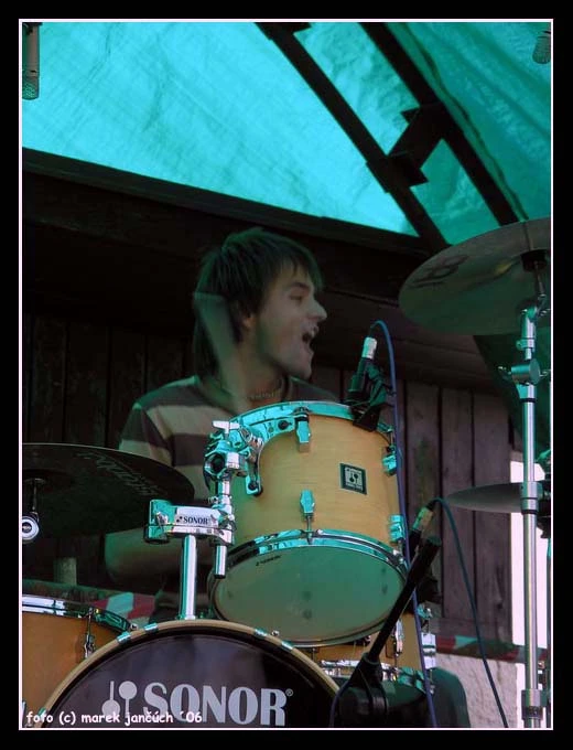 Can Illusion Bees - 11.jpg