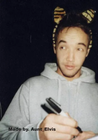 Hoobastank - tiger.jpg