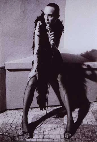 Lili Marlene - lily.jpg