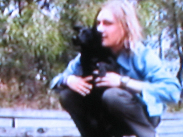 Silverchair - 54.jpg