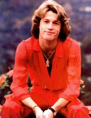 Gibb, Andy